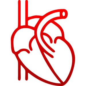 Cardiopatia Congênita